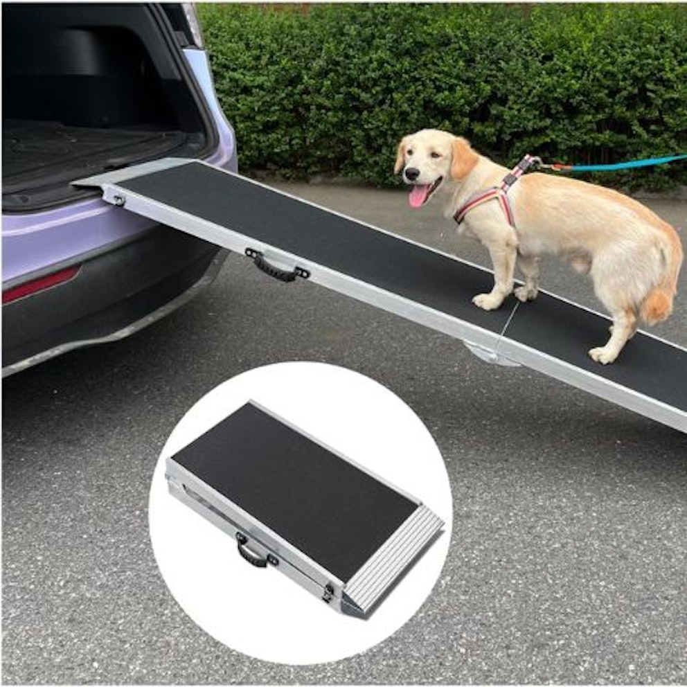 Best Dog Ramps For Cars