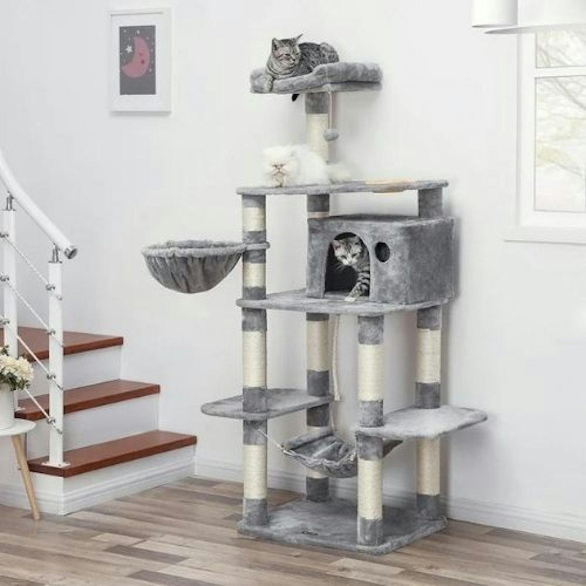 Best cat tower for indoor cats