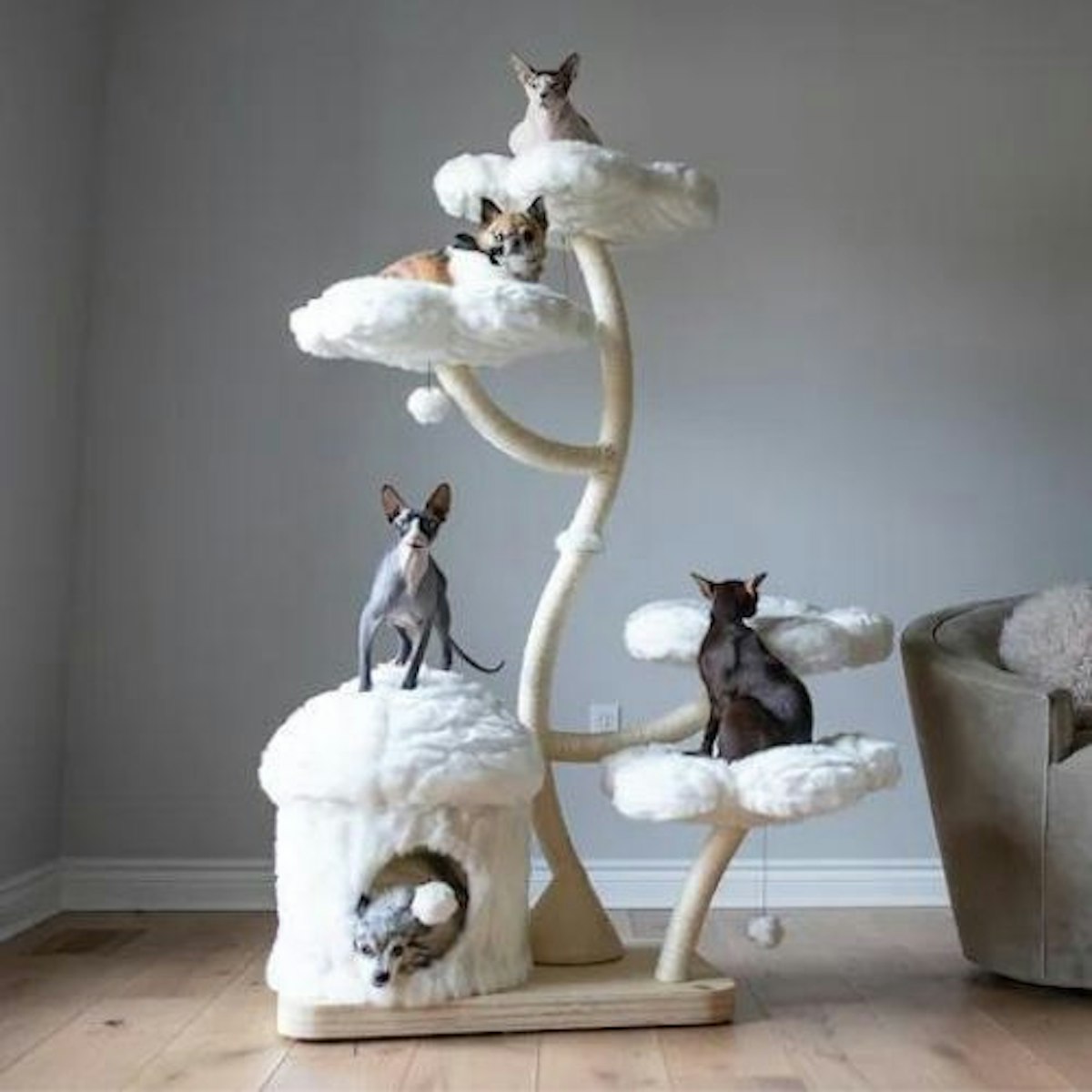 Best cat tower for indoor cats