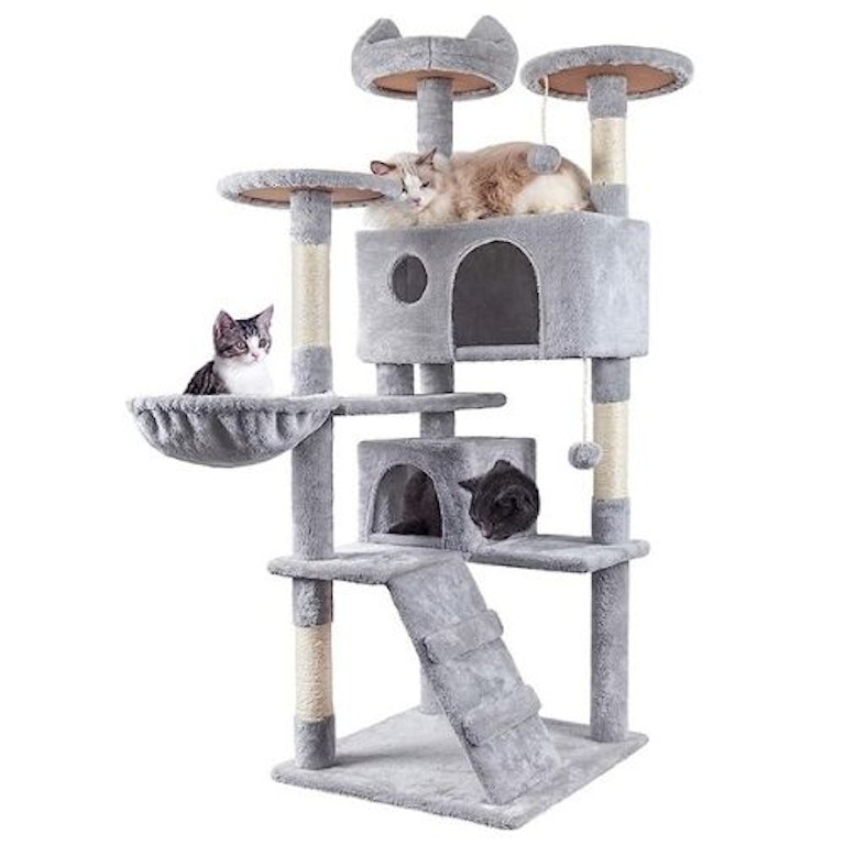 Best cat tower for indoor cats