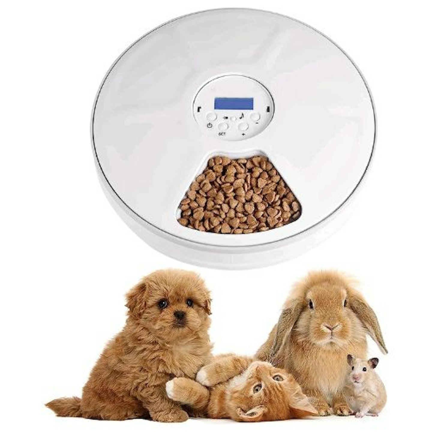 Best Automatic Pet Feeders UK 2023