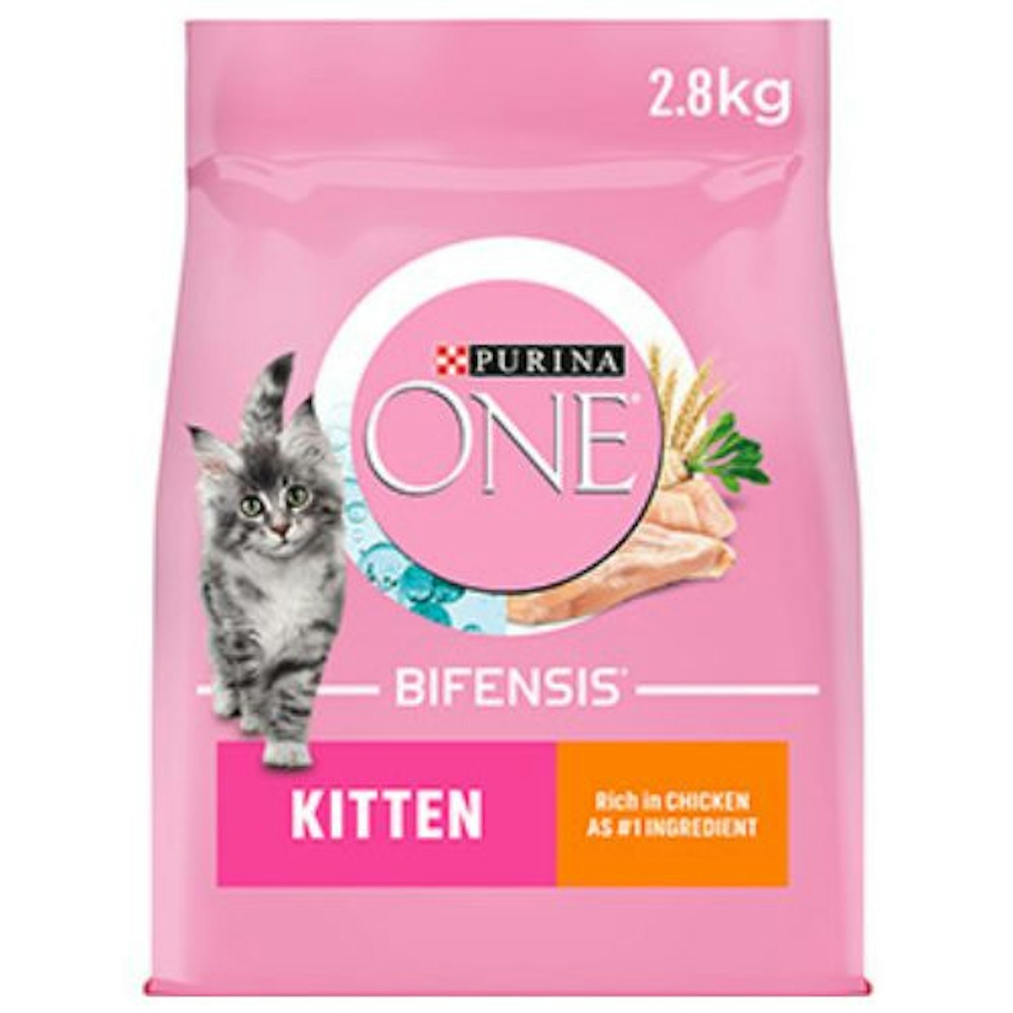 Purina ONE Kitten Dry Cat Food