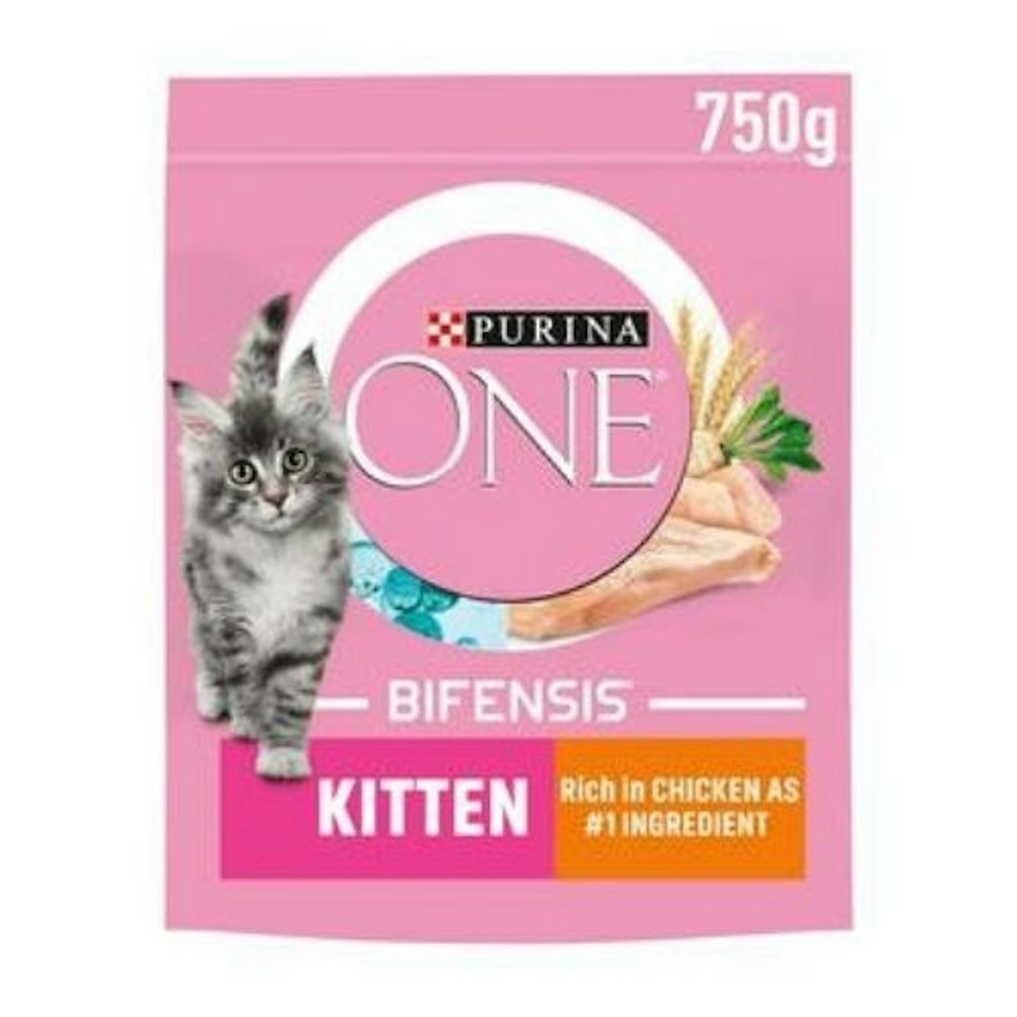 Purina ONE Kitten Dry Cat Food Chicken and Wholegrain