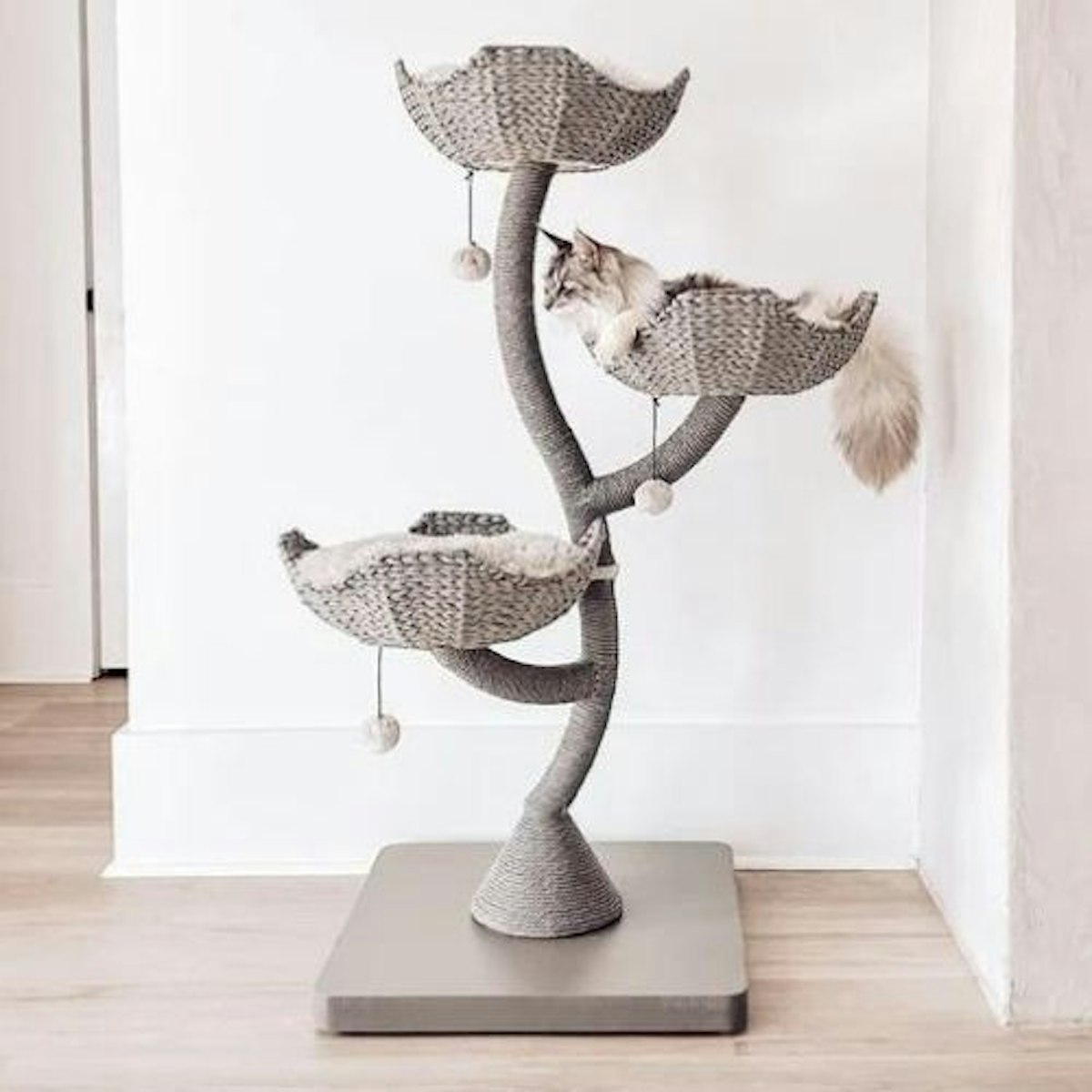 Best cat tower for indoor cats