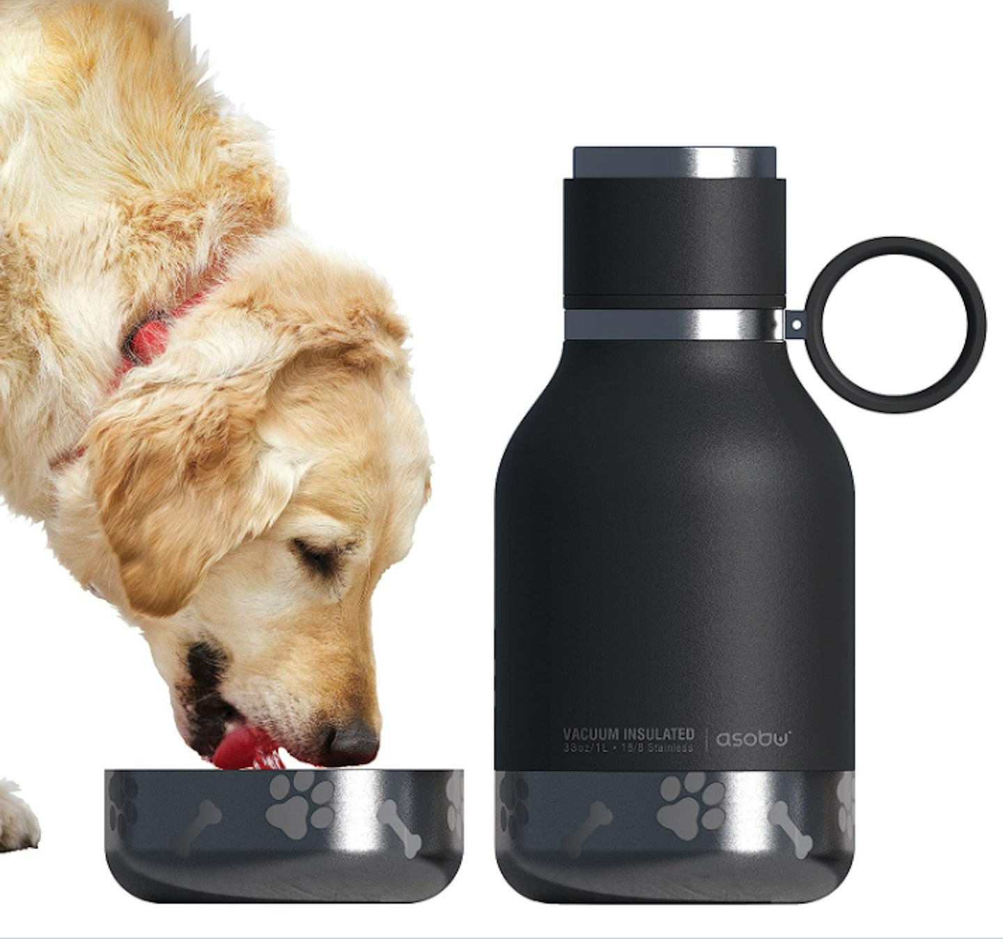 Asobu Dog Bowl and Stainless Steel Insulated Water Bottle