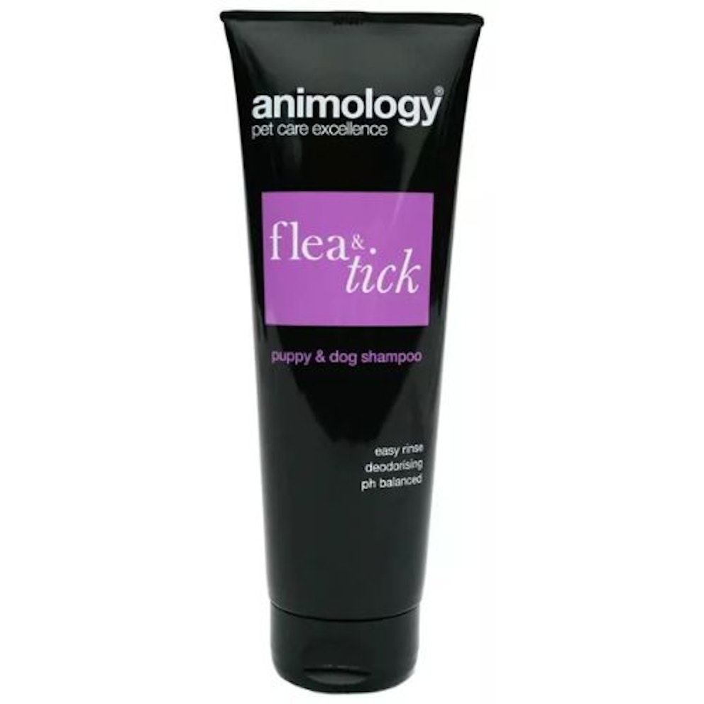 Best dog flea shampoos for keeping your pooch clean 2024