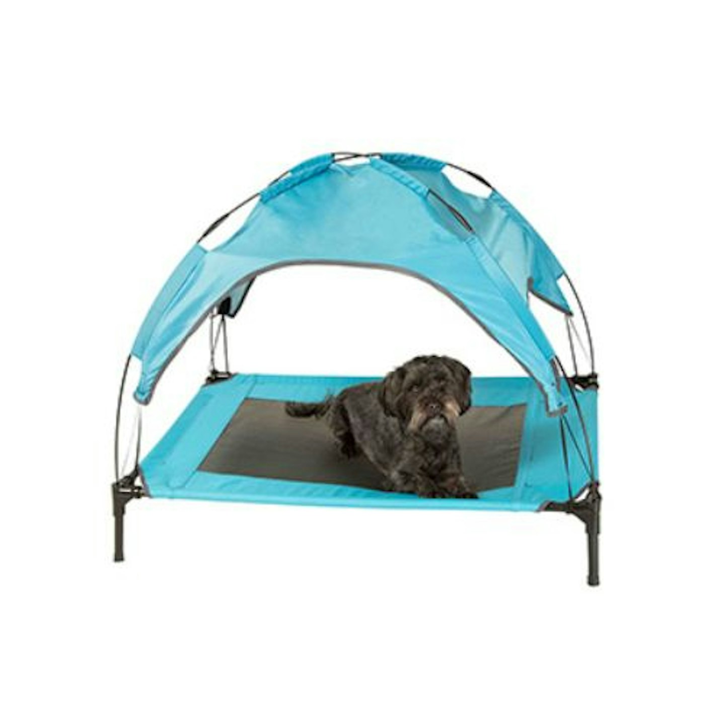 Cool Club Raised Air Dog Bed with UV Canopy