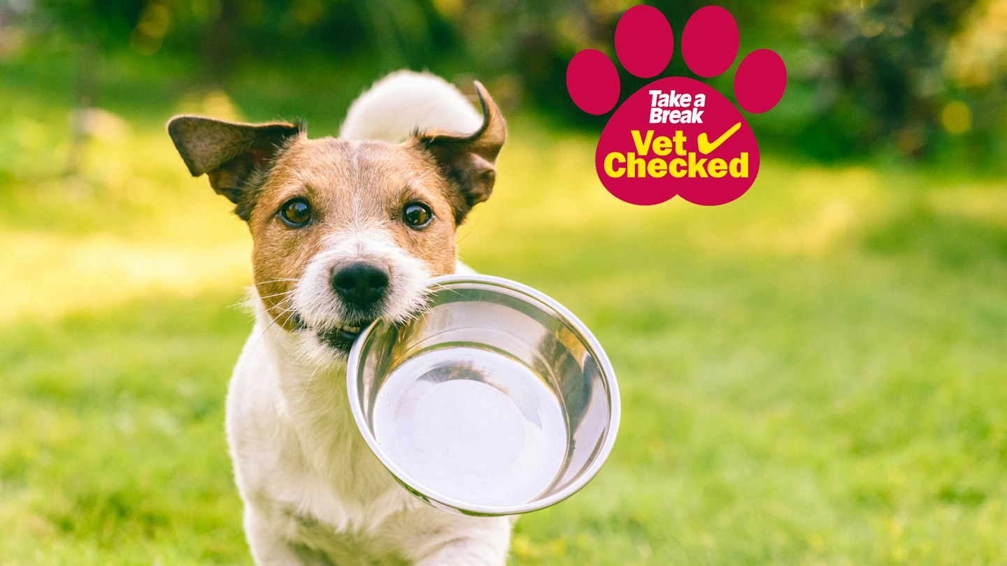 Dog food feeding guide
