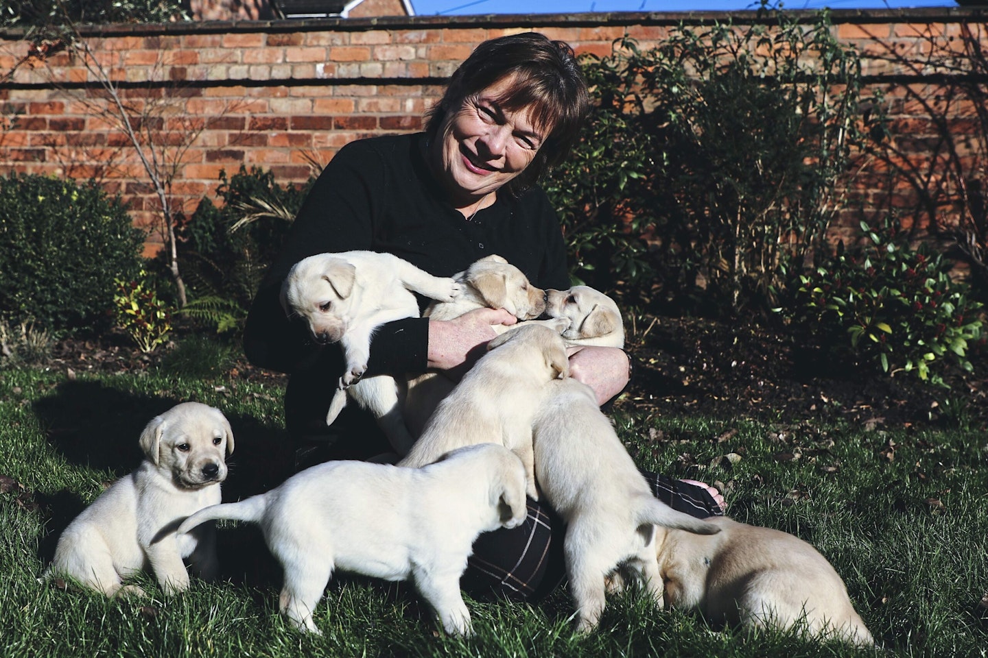 Me with the puppies