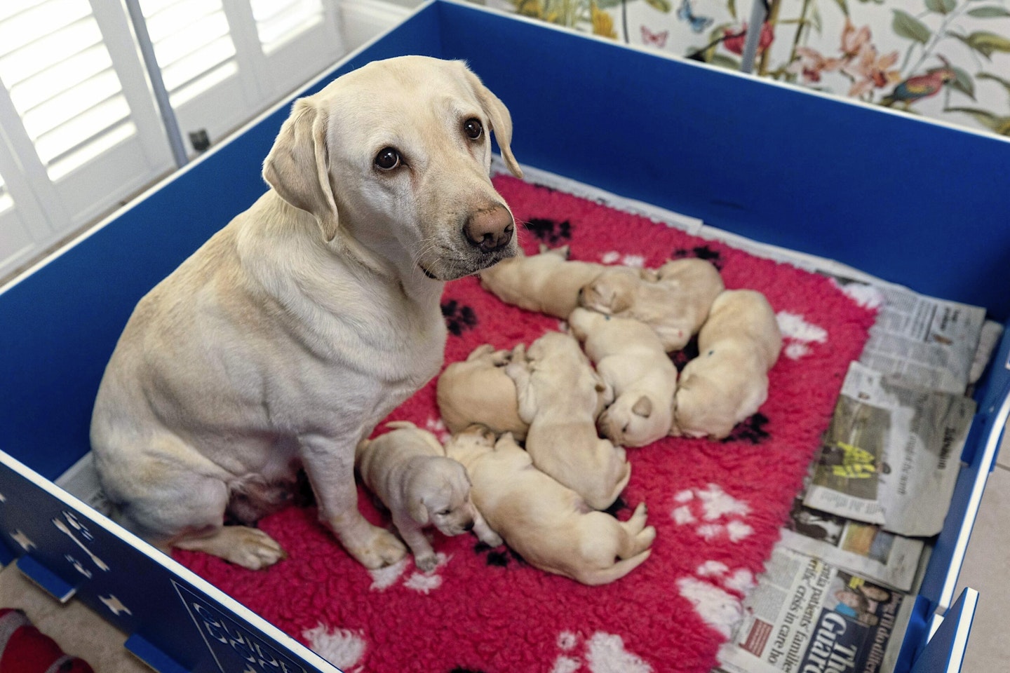 Proud mum Sylvia