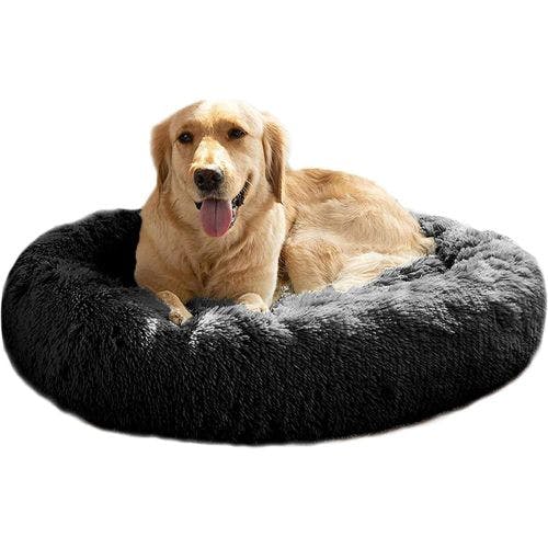 Best budget dog bed sale