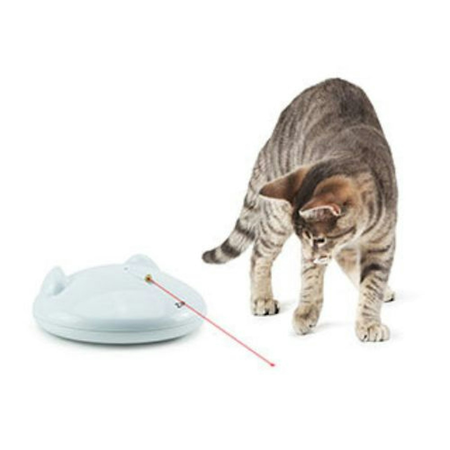 PetSafe FroliCat Zip Automated Laser Light Cat Toy