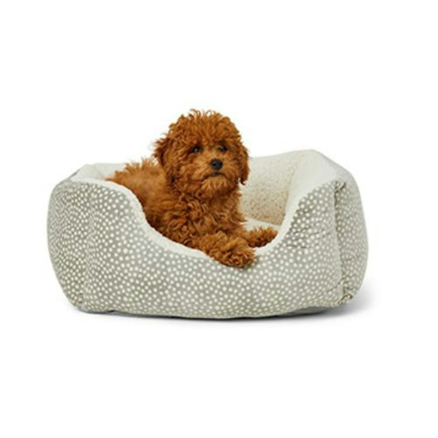 Pets at Home Spotty Square Puppy Bed