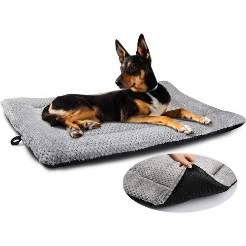 Dog beds black outlet friday