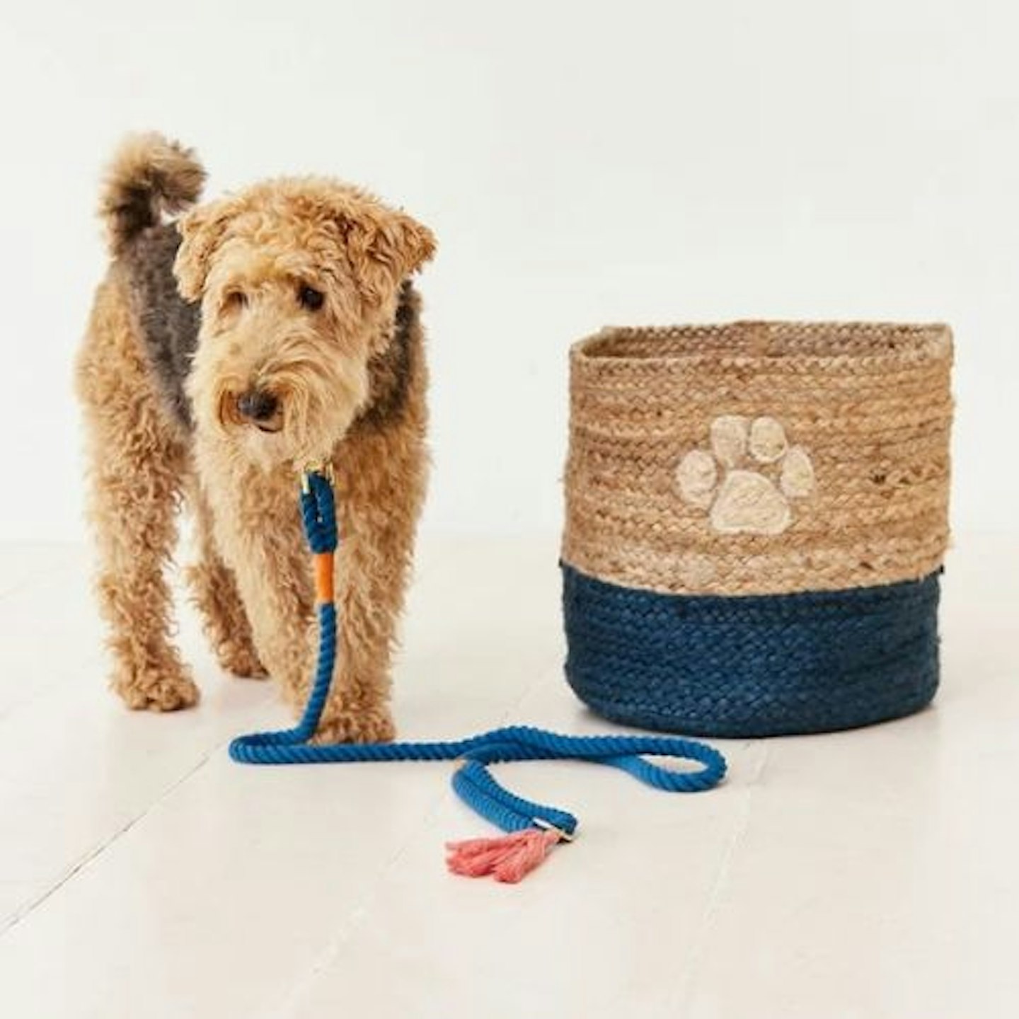 Dog Toy Jute Storage Basket