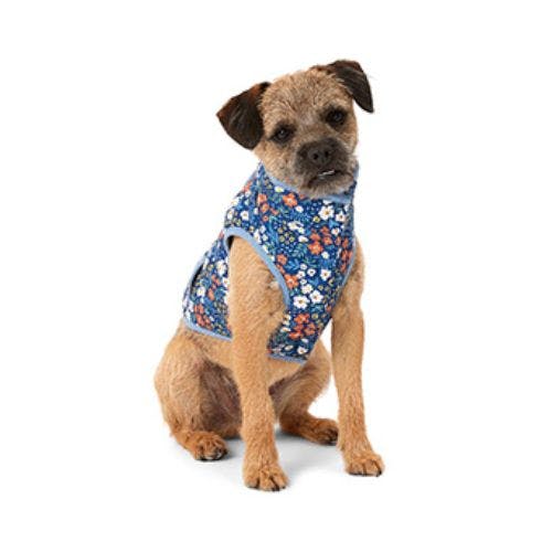 Harry barker best sale dog sweaters