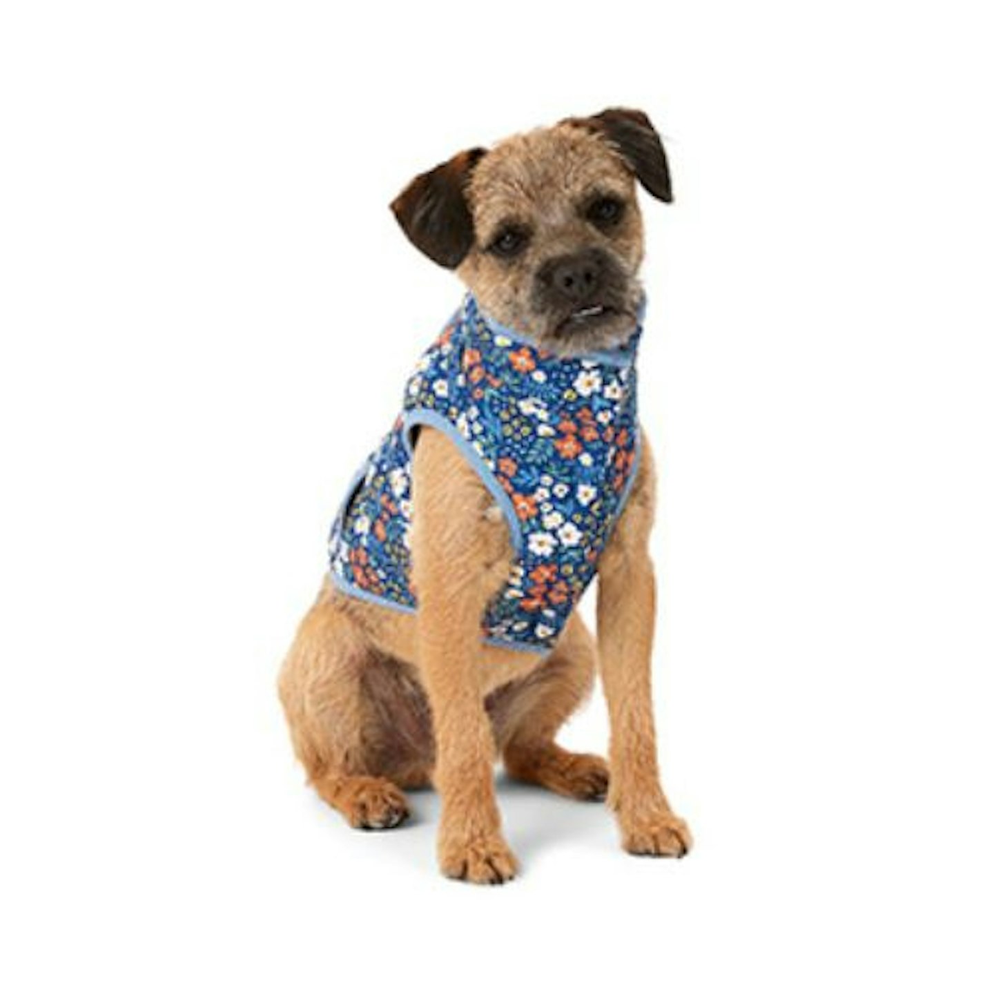 Harry Barker Floral Dog Jacket