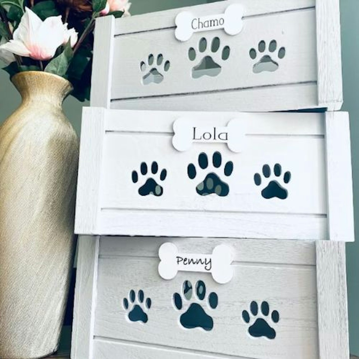 MijoPetProducts Personalised Toy Box