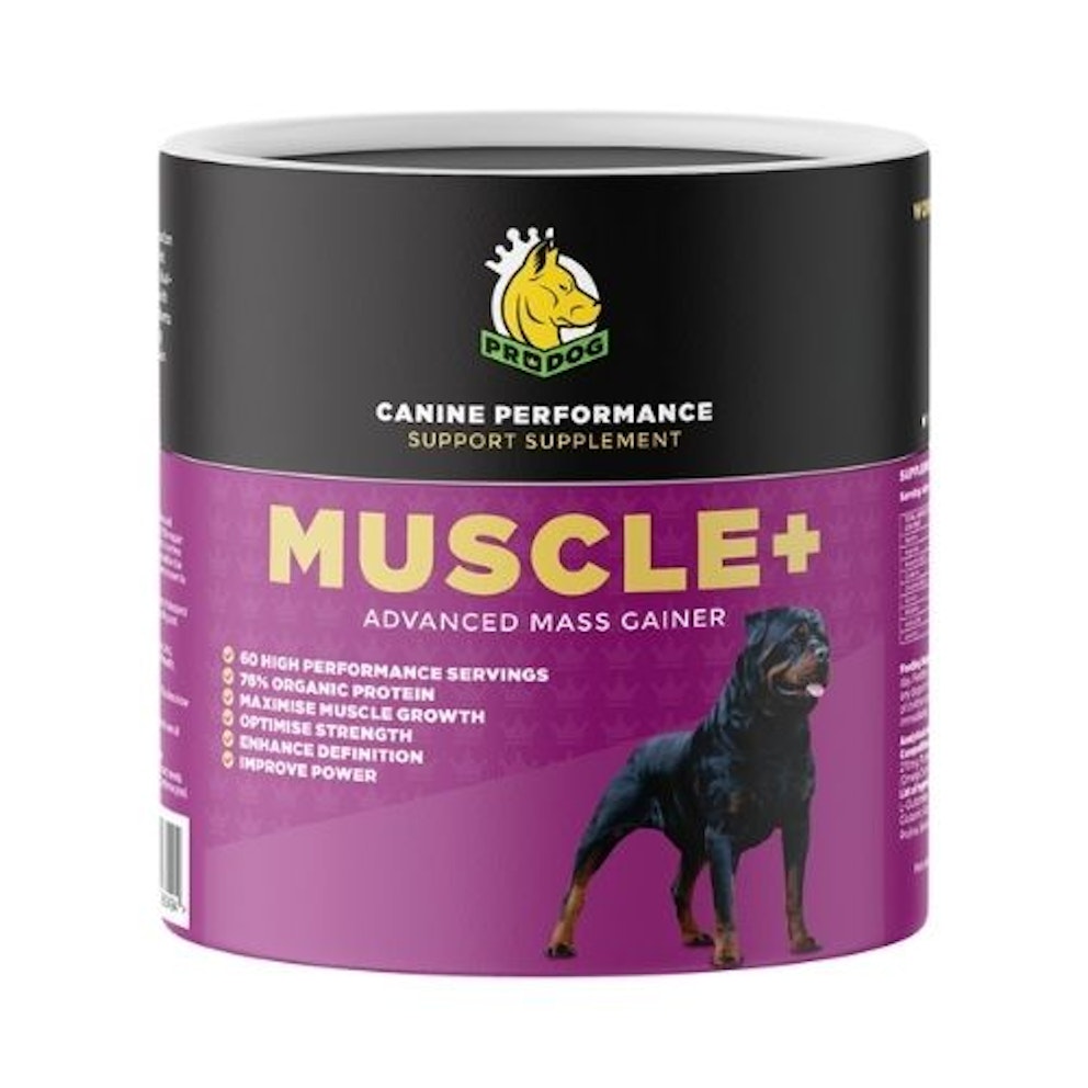 Dog supplements for weight gain to bulk out your pooch