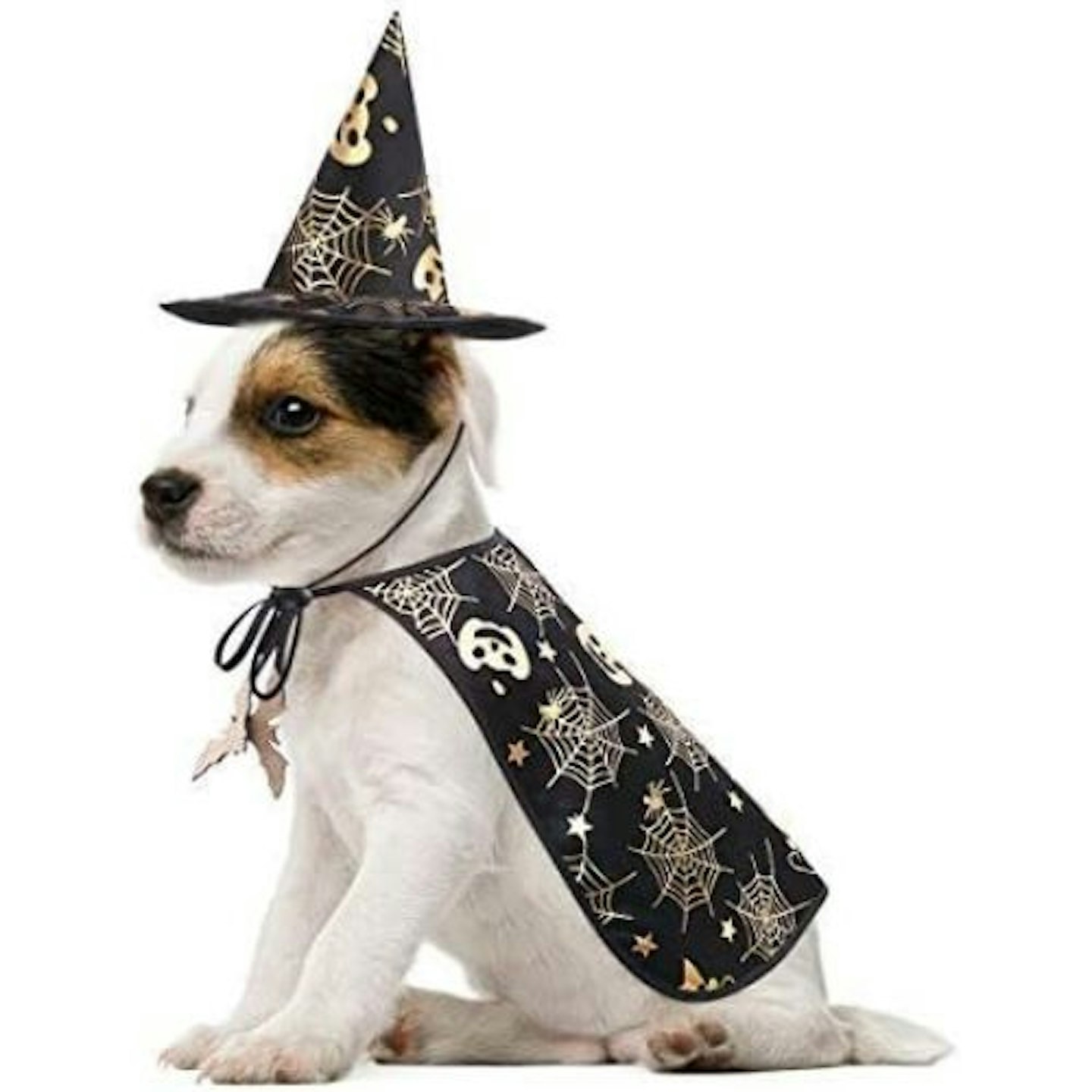 POPETPOP Wizard Dog Costume