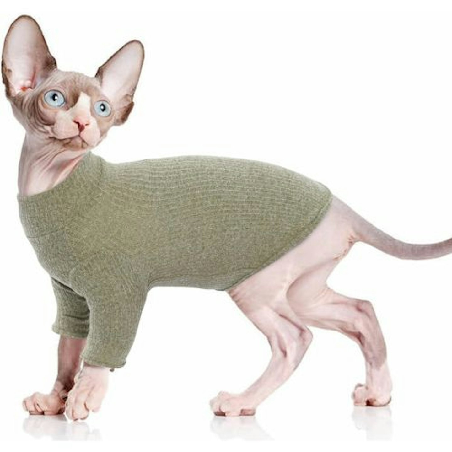 PUMYPOREITY Cat Sweater Vest