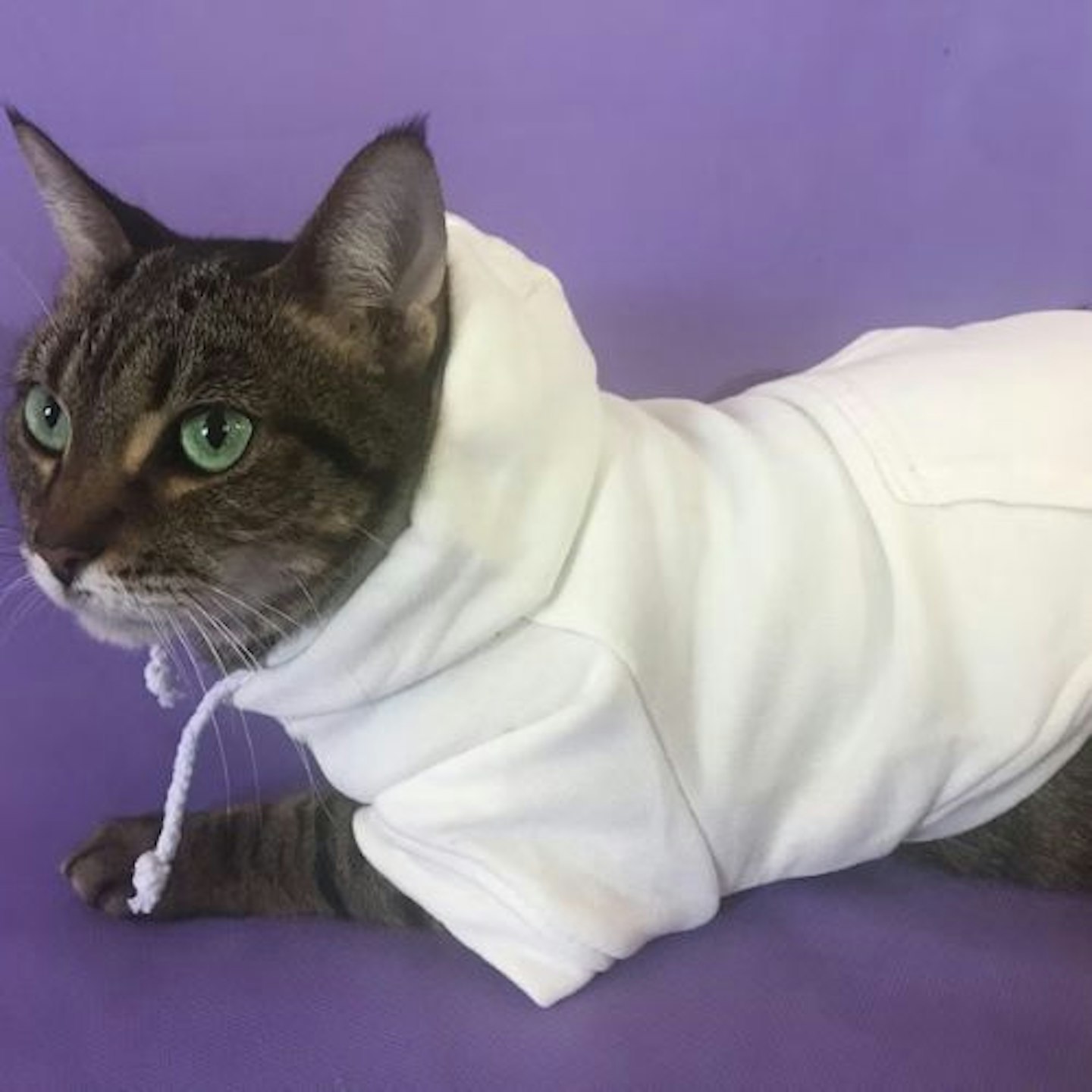 Pet Hoodie