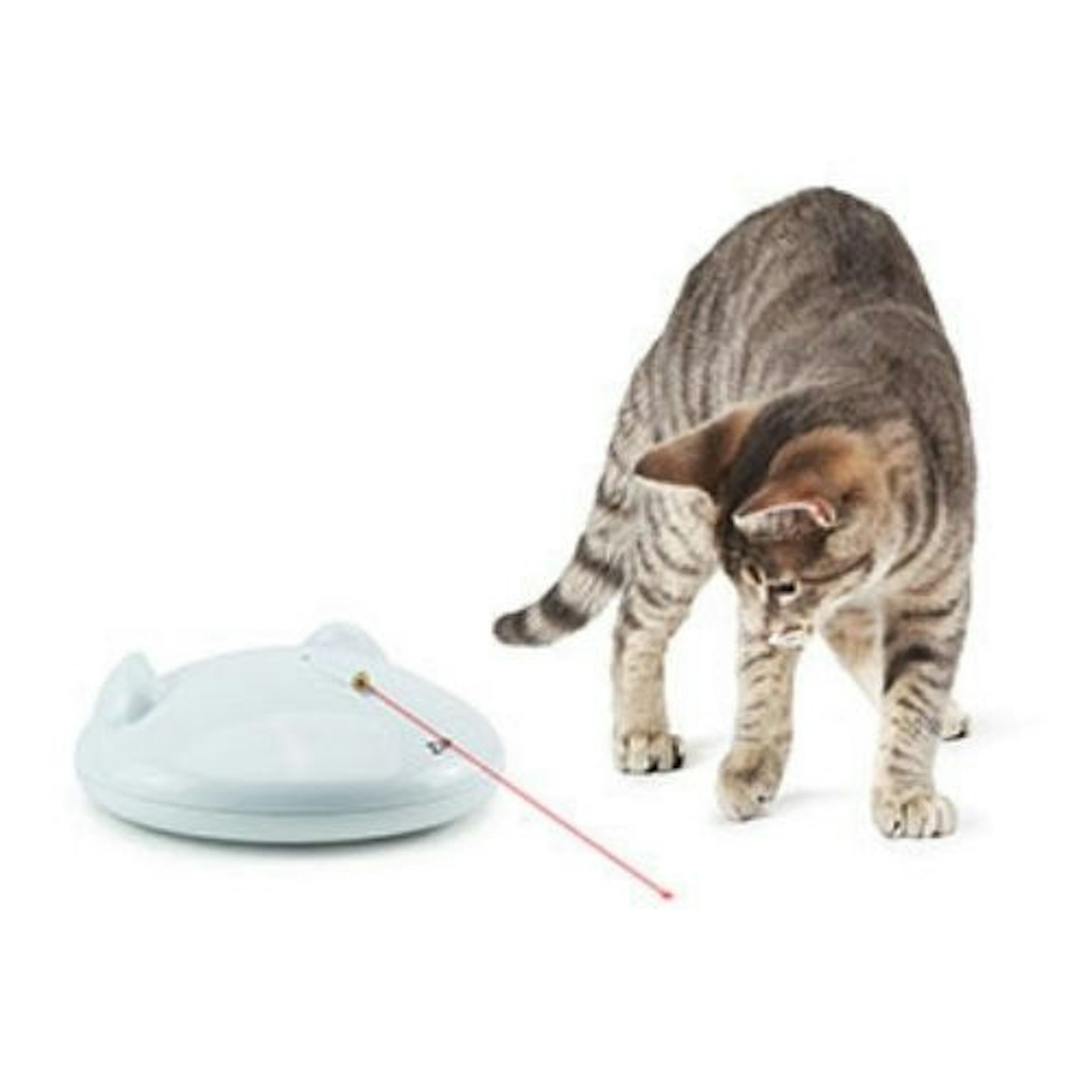 Best Cat Laser Toys For Indoor Play