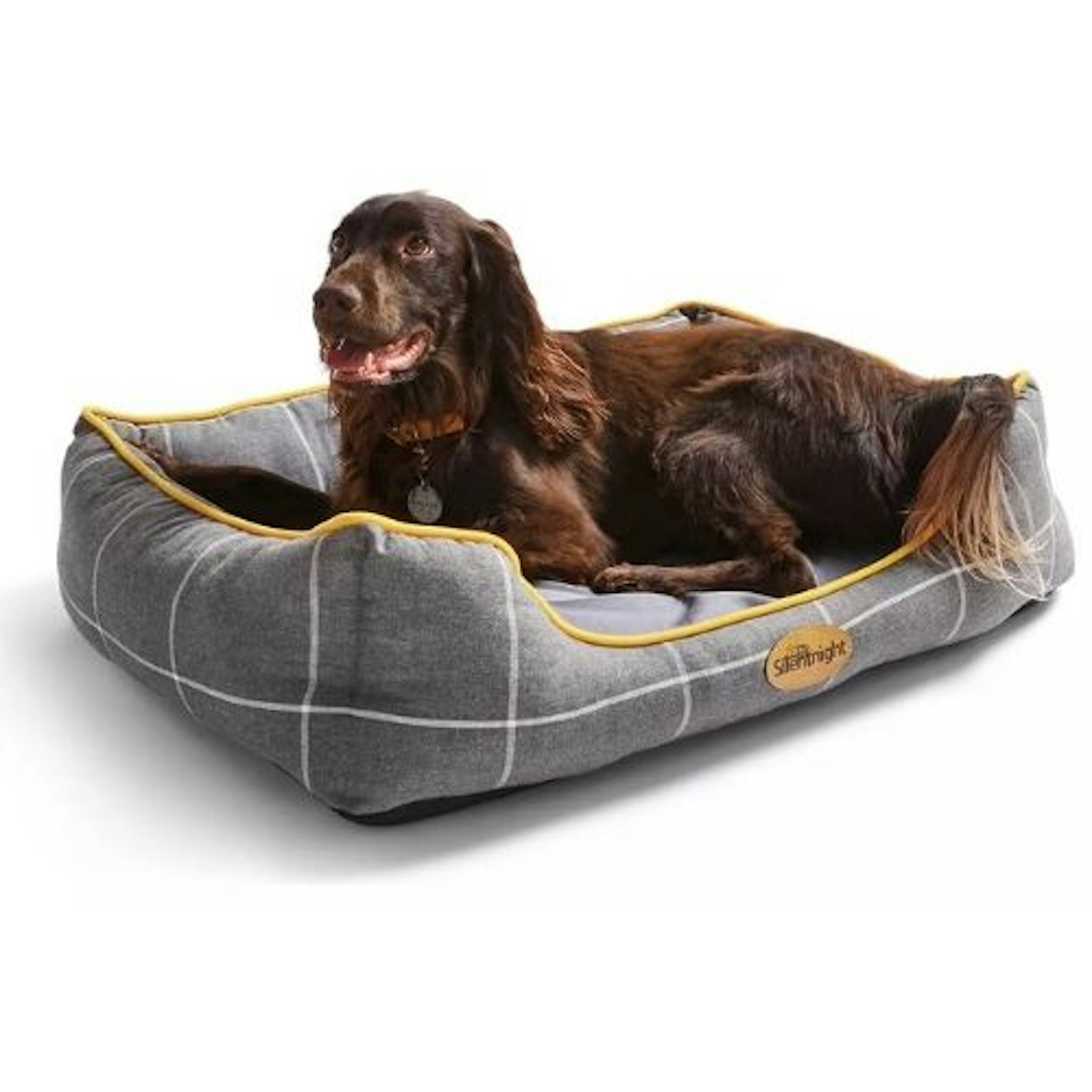 Silentnight Impress Memory Foam Pet Bed