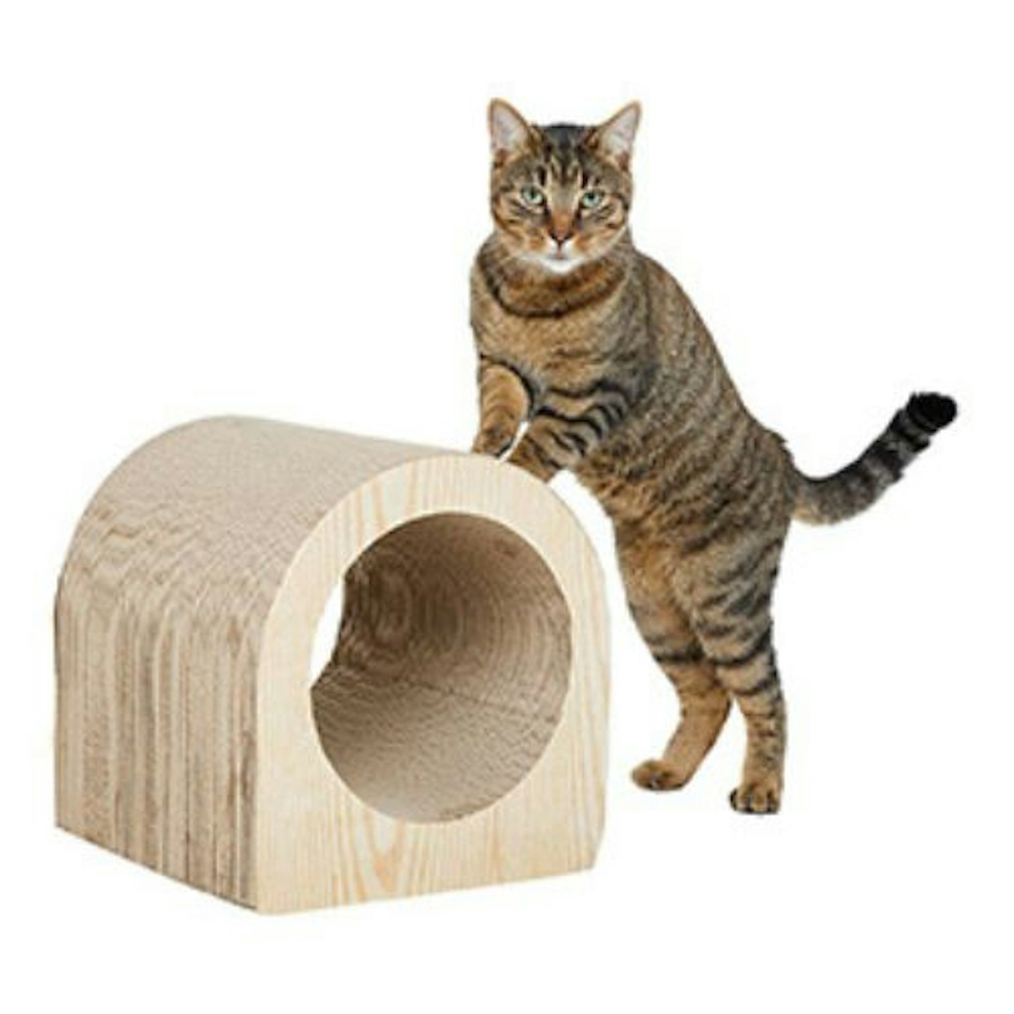 Willow's Scratch and Hide Cat Tunnel Toy