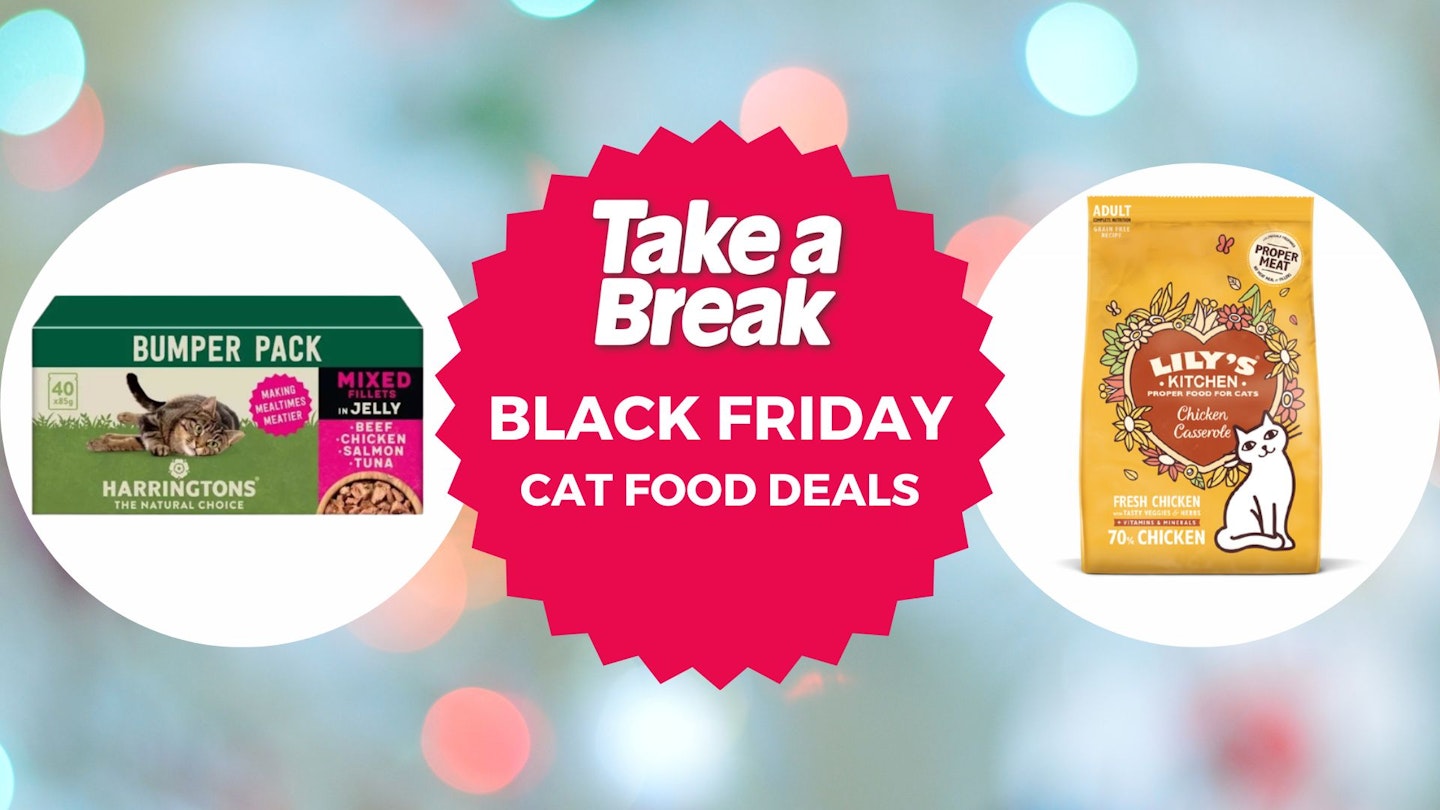 Black Friday cat food deals