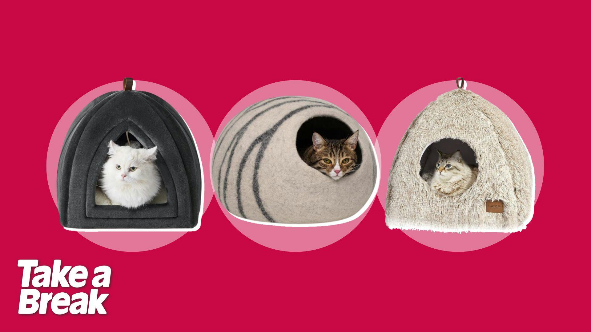 Best cat bed cave to keep your furry friend warm and safe