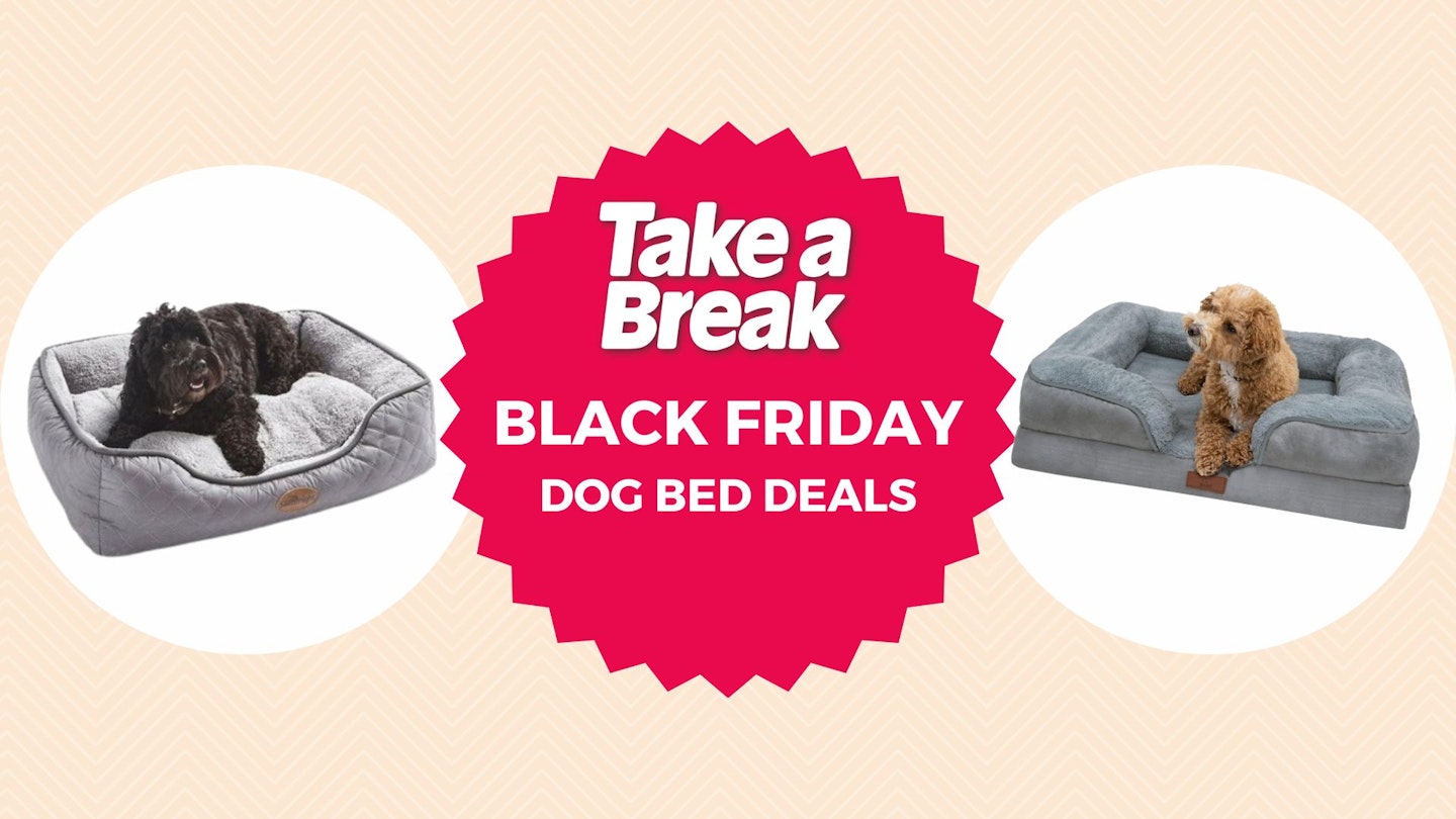 Black Friday dog bed deals