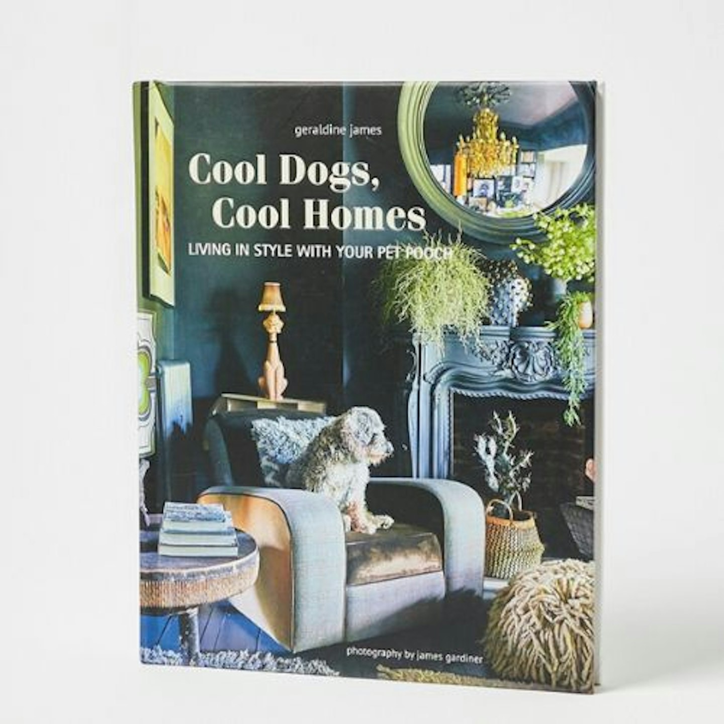 Cool Dogs, Cool Homes Book