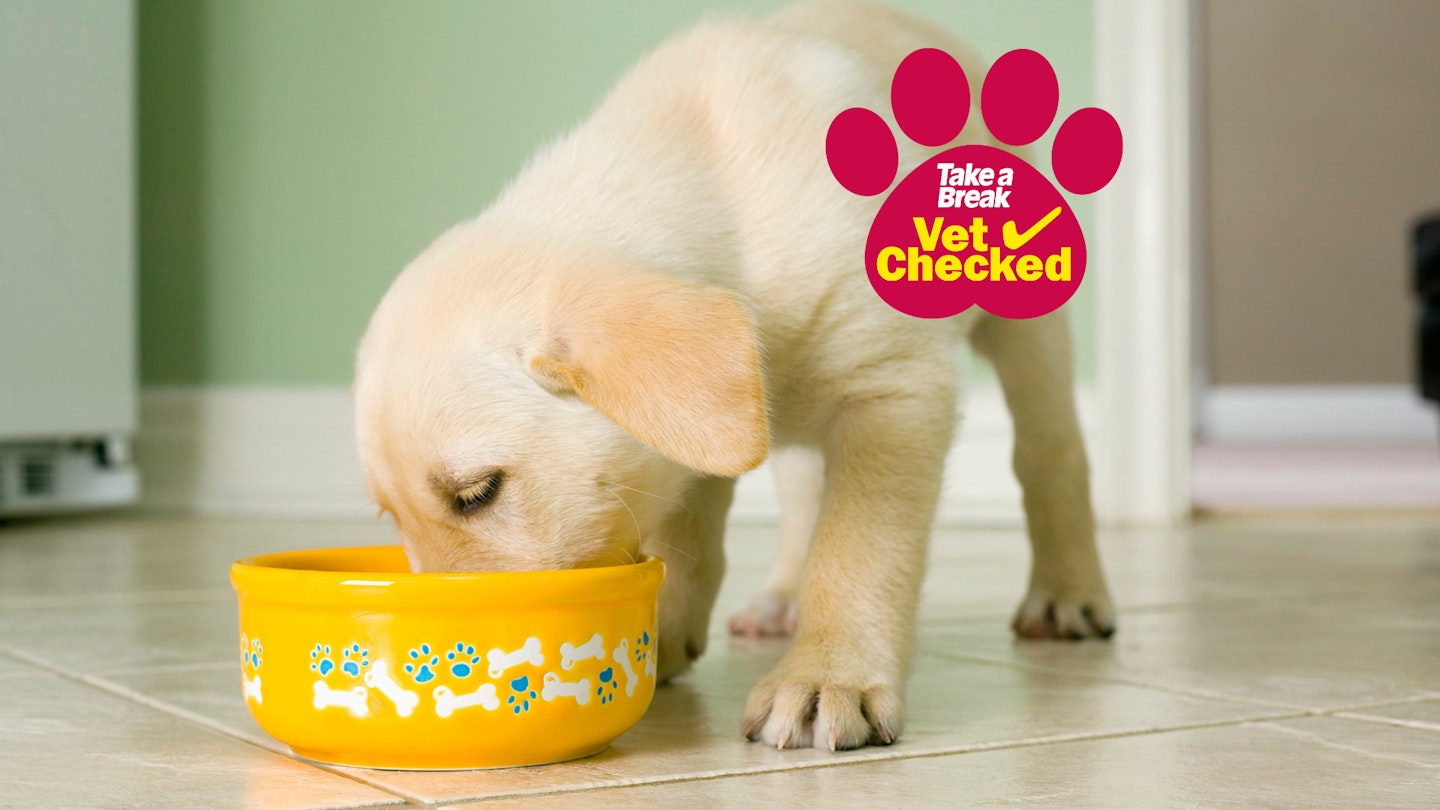 How much food should I feed my puppy