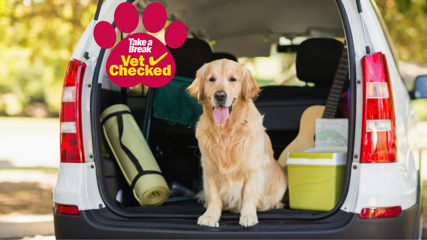How to travel with your dog in a car