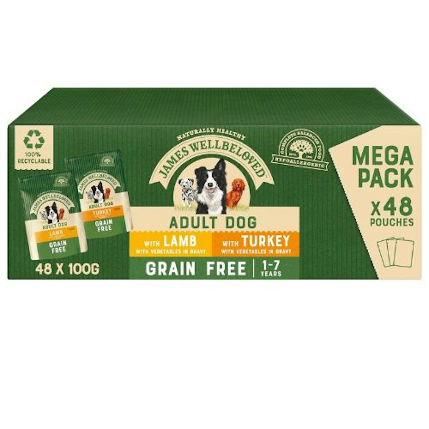 James Wellbeloved Adult Grain Free Turkey and Lamb in Gravy 48x100g