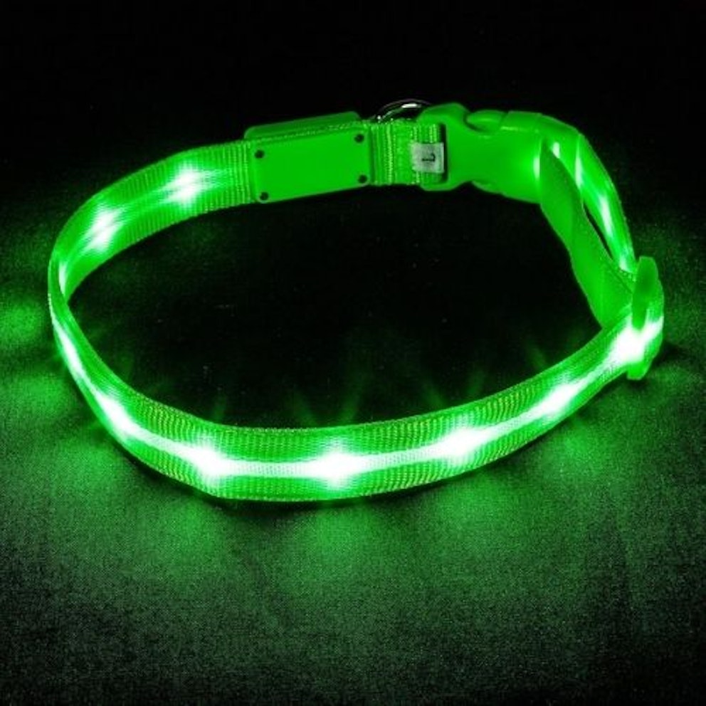 Best lightup dog collars 2024