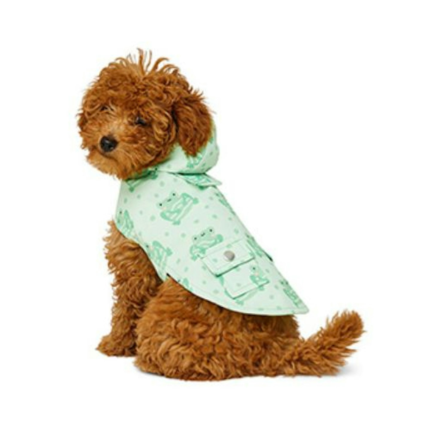 Just for Puppy Frog Print Raincoat with Hood