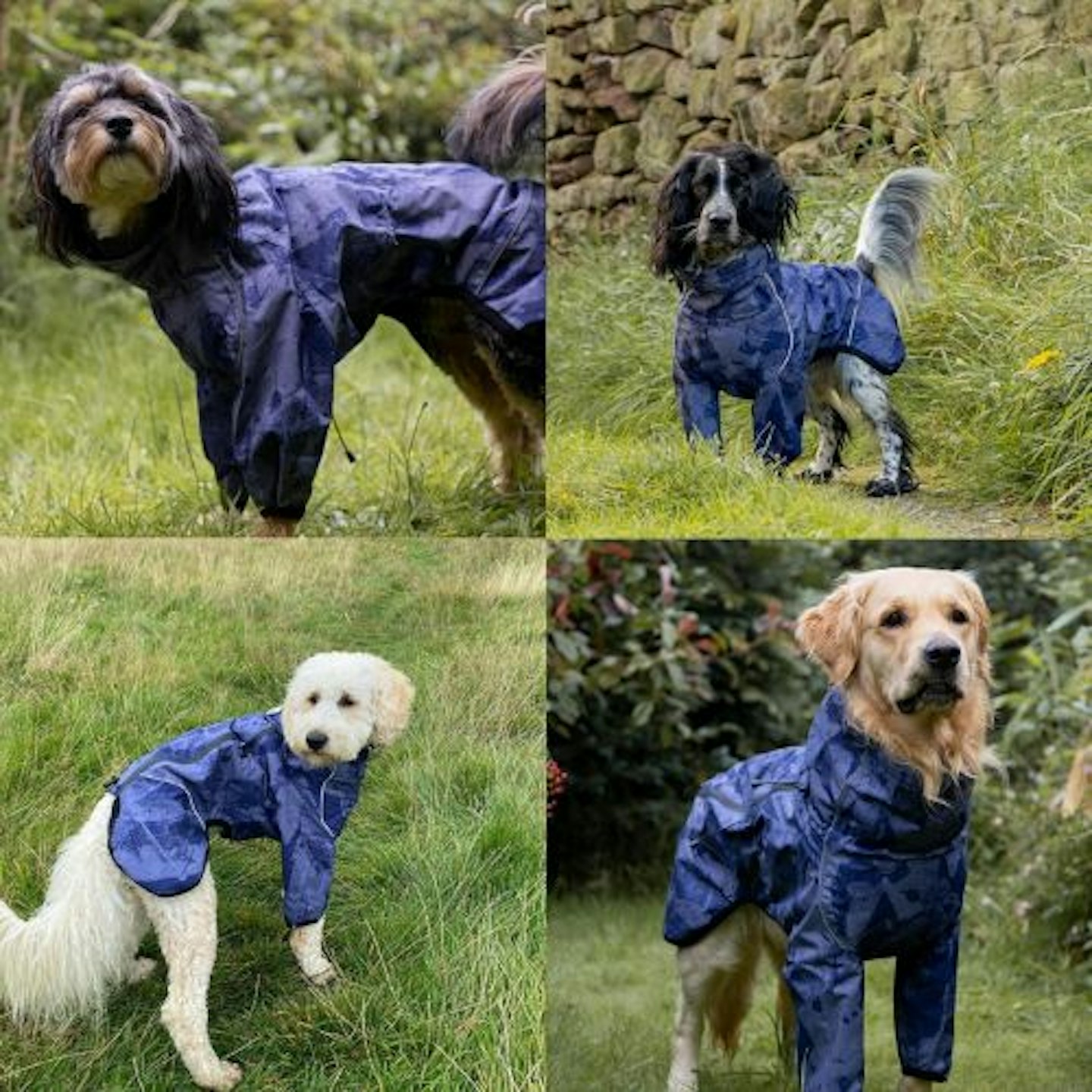 Mikki All Weather Coat for Dogs and Puppies