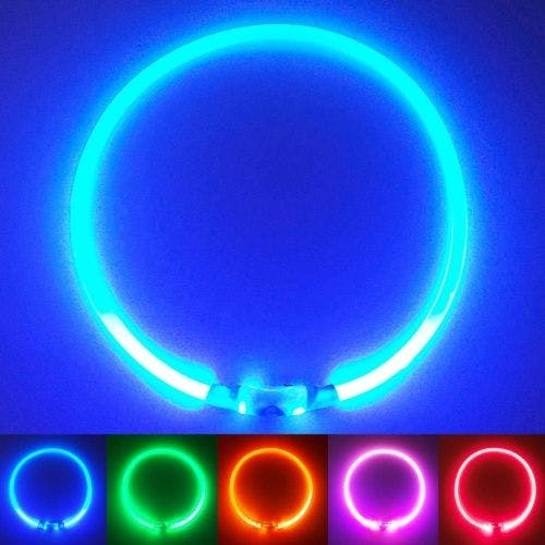 Best lighted dog collar best sale