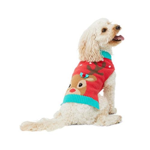 Pets at home sales dog christmas jumper