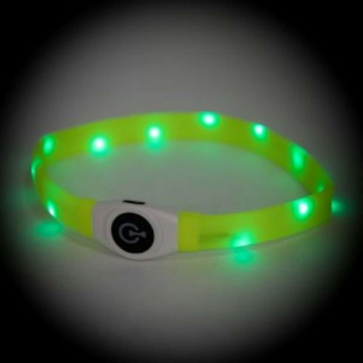 Best lightup dog collars 2024