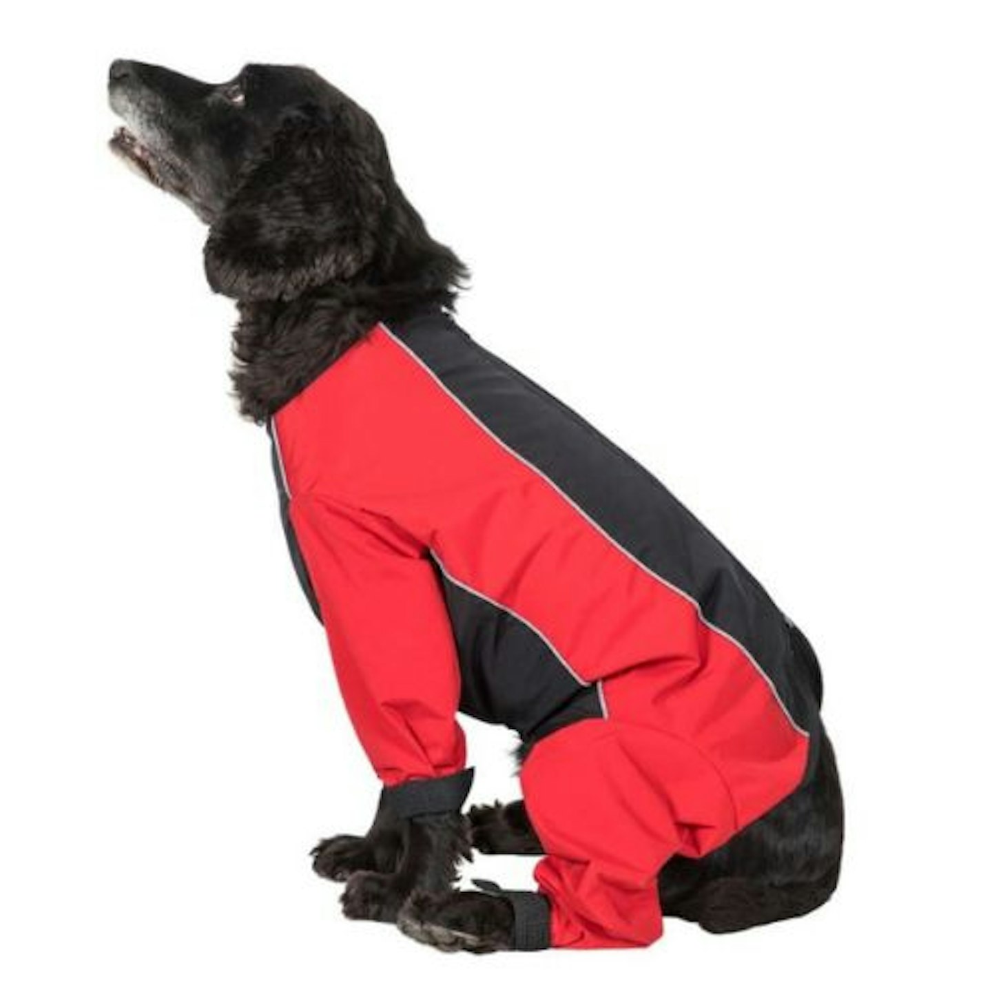 Trespaws Waterproof Dog Coat With Legs 