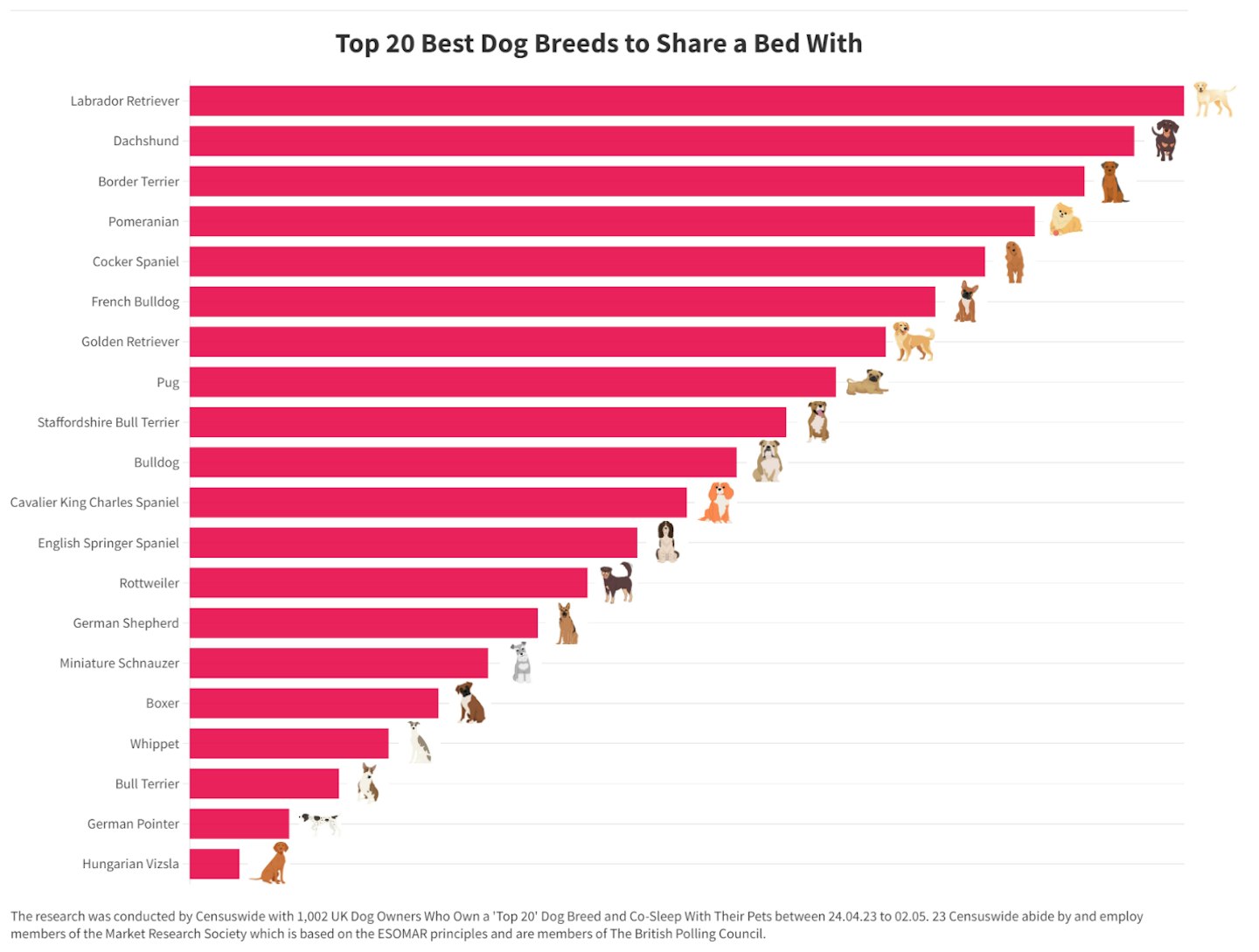 Best dogs to sleep with