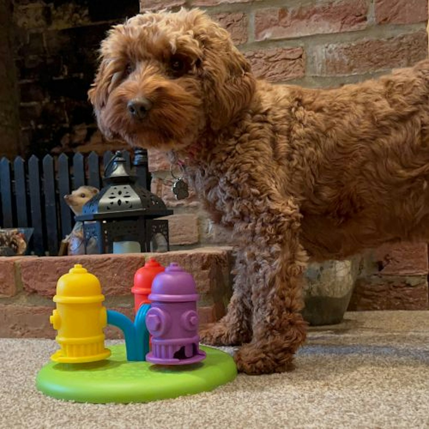 Brightkins Spinning Hydrants Treat Puzzle for Pets