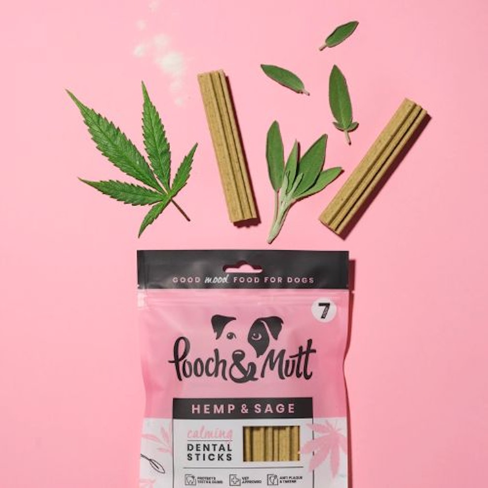 Best dog supplements for anxiety to help nervous pups 2024