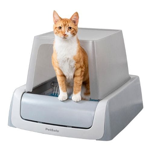 Best self cleaning cat litter box UK 2024