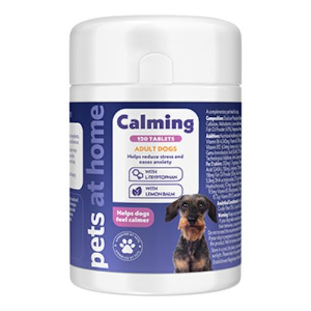 Best dog supplements for anxiety to help nervous pups 2024