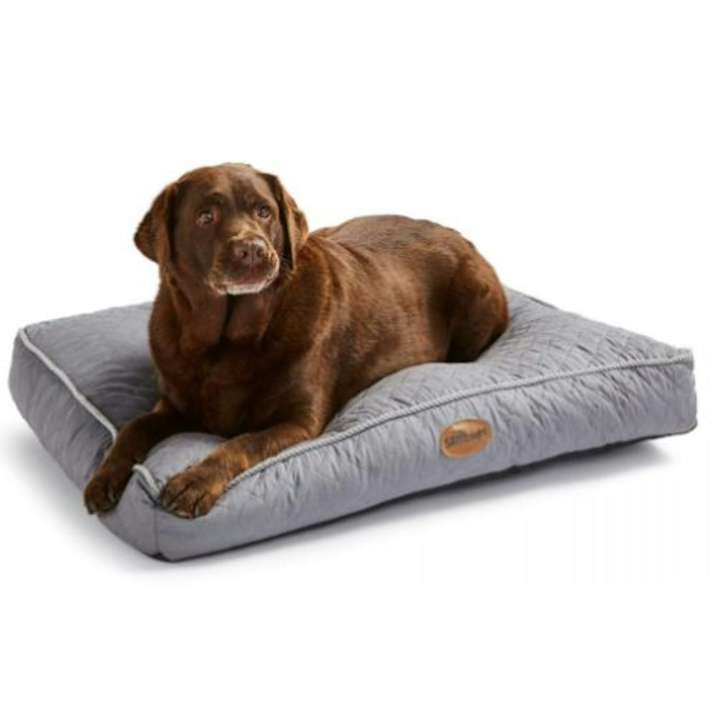 Silentnight Ultrabounce Pet Bed