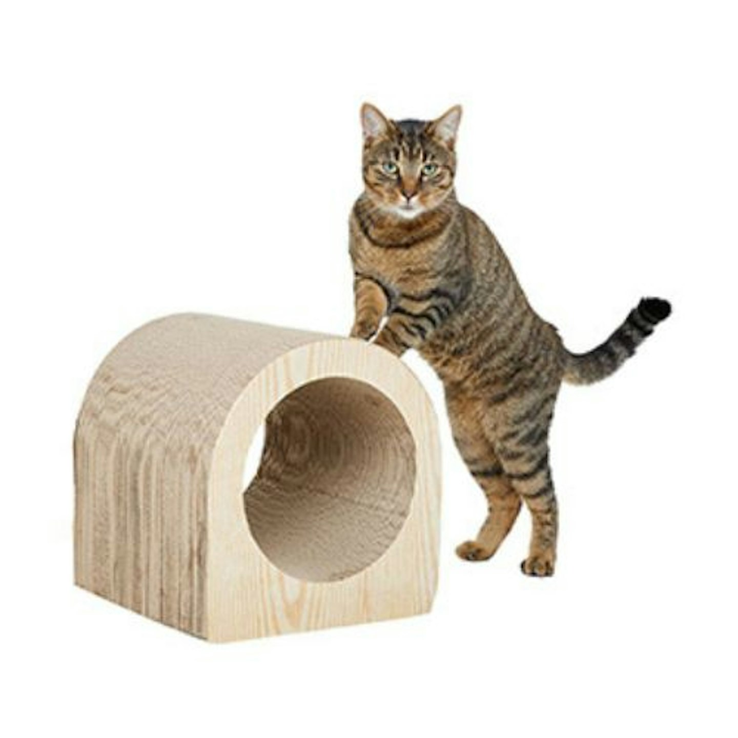 Willow's Scratch and Hide Cat Tunnel Toy